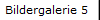 Bildergalerie 5